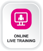 Formação online/live training - ícone de 1 pessoa dentro de ecrã de computador