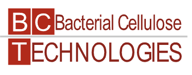 BCTechnologies Spin-off logo