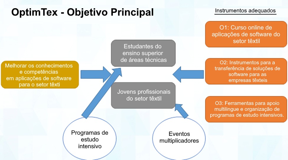 Esquema que resume os objetivos e outputs deste projeto